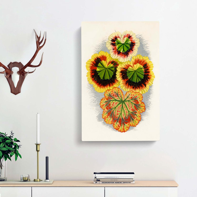 Geranium Leaves by Benjamin Fawcett - Wrapped Canvas, 60cm H x 40cm W x 3cm D
