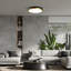 Hopeland Acrylic LED Flush Mount-913872866