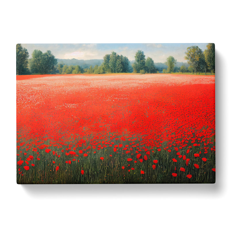 Enigmatic Poppy Field Flowers - Wrapped Canvas