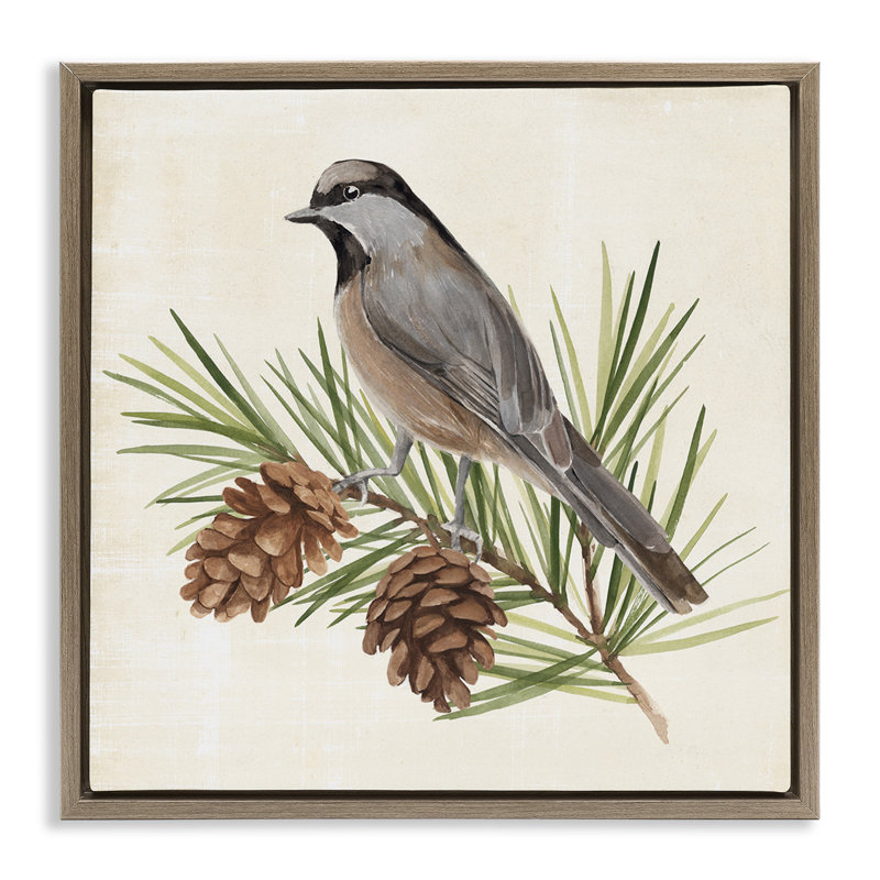 Oiseau sur pin, H 18 po x l 18 po, Cadre flottant orme Montalcino