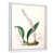 Cadre flottant blanc