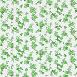 Hedera Wallpaper