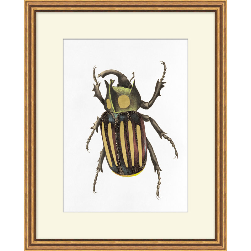«Gilded Beetle 5» par Lillian August - cadre photo, impression sur papier