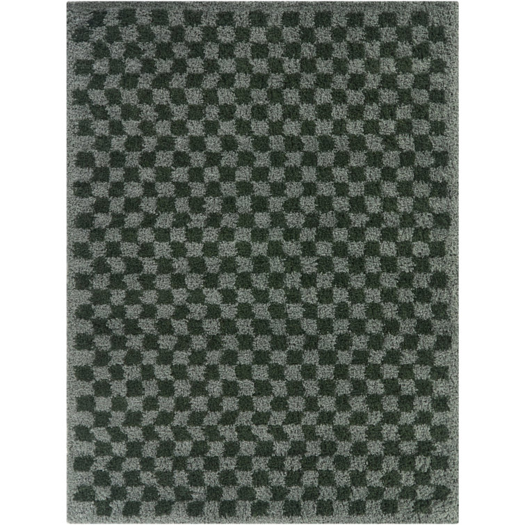 Wingate Green/Grey Checkered Shag Area Rug