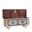 Aleesha Blanket Chest