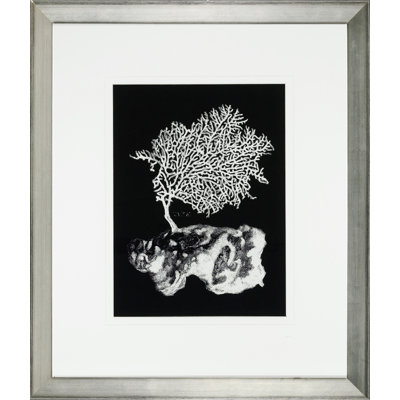 «Black and White Coral III» - Impression sur cadre photo