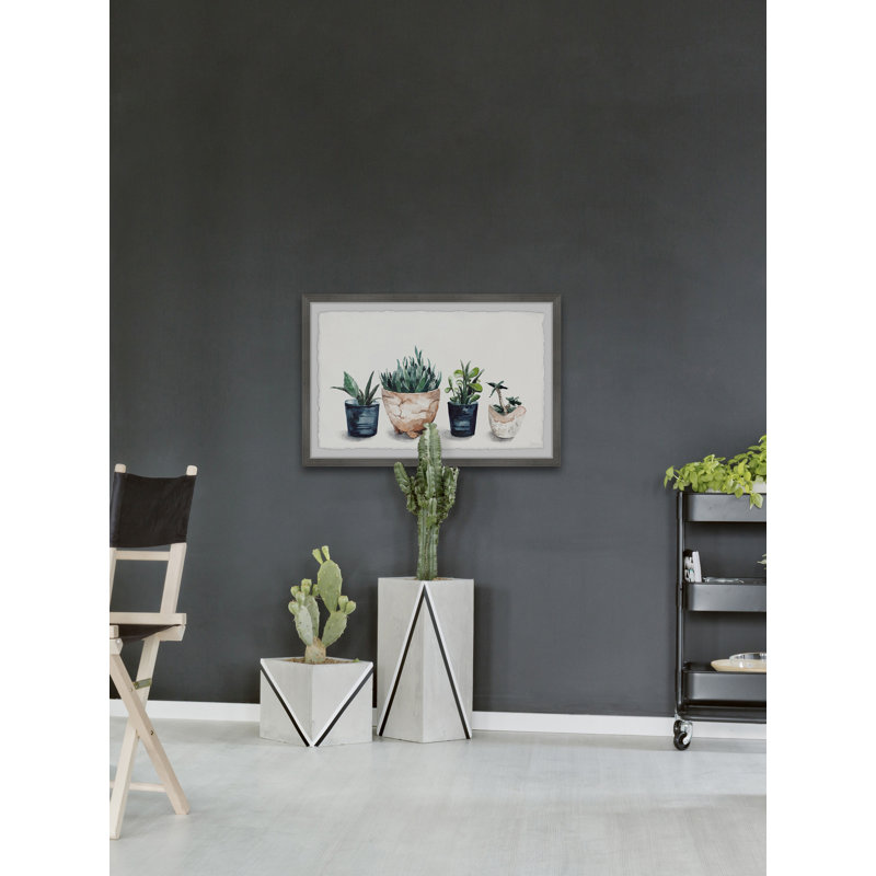 Multi Colored Planters by Parvez Taj - Single Picture Frame Painting, 20cm H x 30cm W
