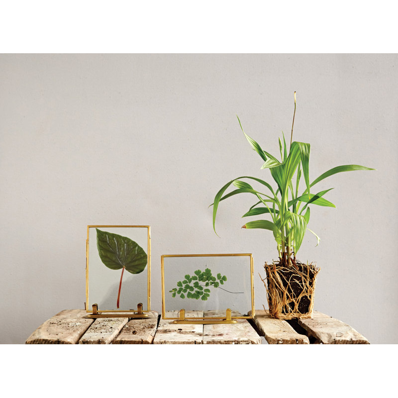 Cassidy Gold Metal Gilded Picture Frame - Set of 2