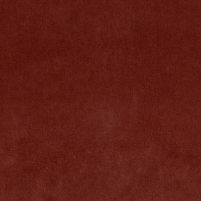 F1284-ZINN Sample