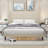 Upholstered High Headboard Platform Bed, King Size with Comfortable Backrest-108589756-108589758