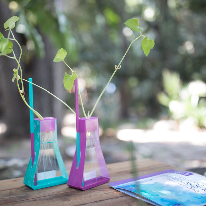 Nancy B'S Science Club Way to Grow Hydroponics Kit and Gardening Diary