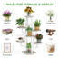 Support pour plante rectangulaire à plusieurs niveaux Zoya-793201181-747626390