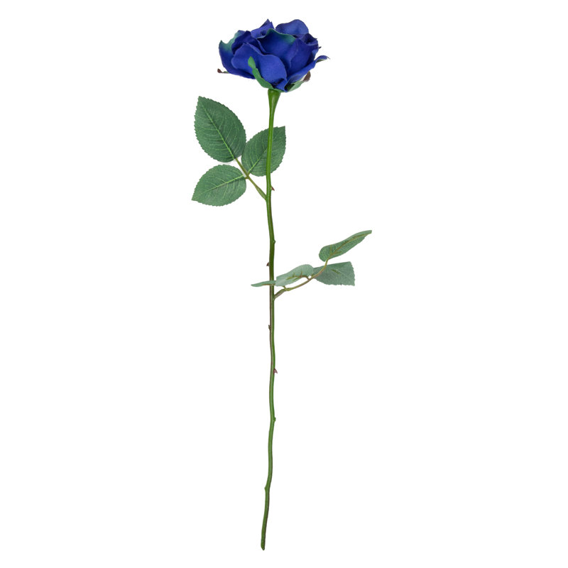 Rosiers en fleurs