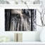 «Sunbeam Through Black White Forest», photographie-35125684-35125691