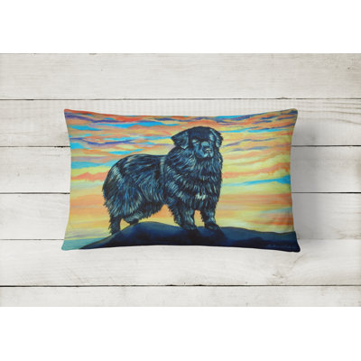 Newfoundland Outdoor Reversible Throw Pillow