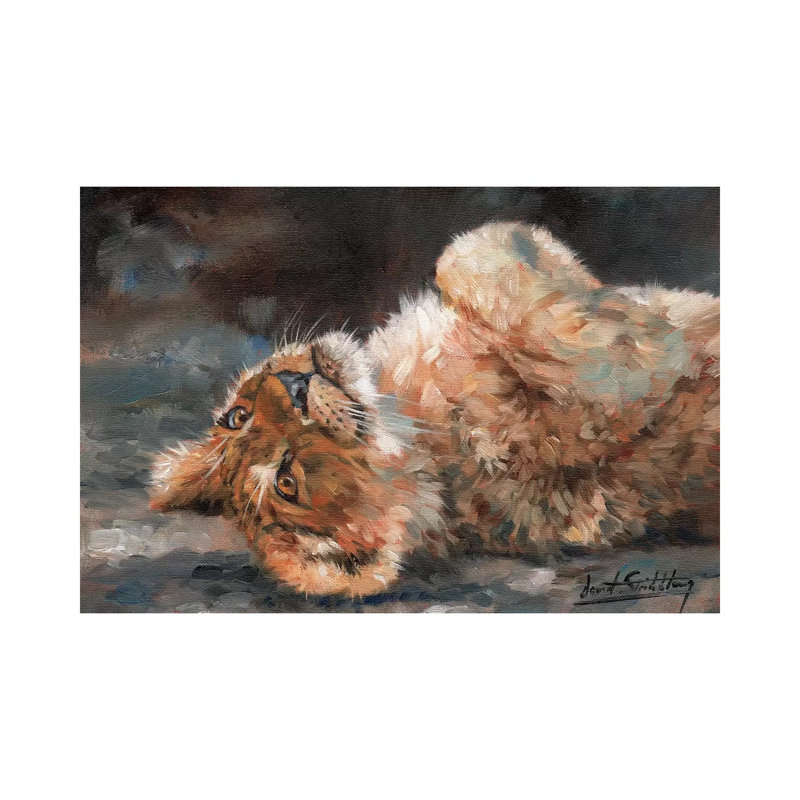 Lion Cub On Back by David Stribbling - Gallery-Wrapped Canvas Giclée on Canvas, 20.32 cm H x 30.48 cm W, Canvas