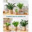 HDHPOT Ceramic Pot Planter-1607730068