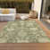 Machine Washable Indoor/Outdoor Cicel ACN1150 Aloe Rug