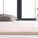 Anteo Area Rug