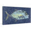 «Trevally» par Warren Seller, reproduction d'art sur toile tendue-19067392