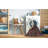 Oriental Indoor Rug-1588271289