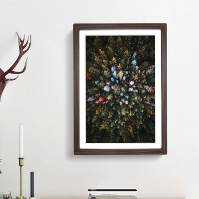Forest Arrangement - Framed Print