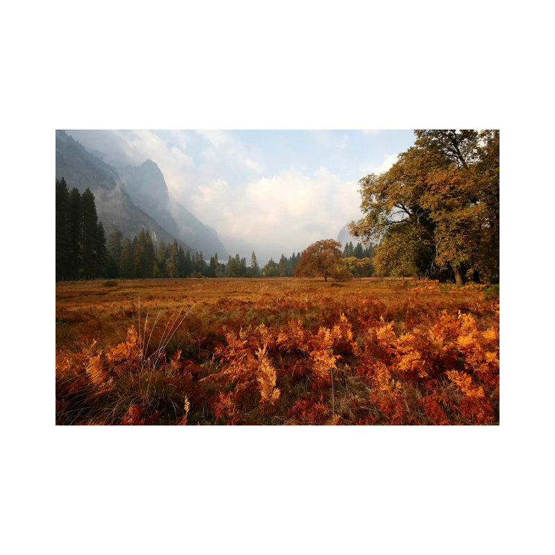 Meadow 1 Piece Wrapped Canvas Wall Art