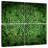 Kerner Celtic Shamrock-109154209