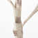 Electric Birch 48'' Lighted Trees & Branches