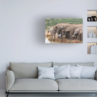 Art sur toile éléphant, Bob Bob Langrish