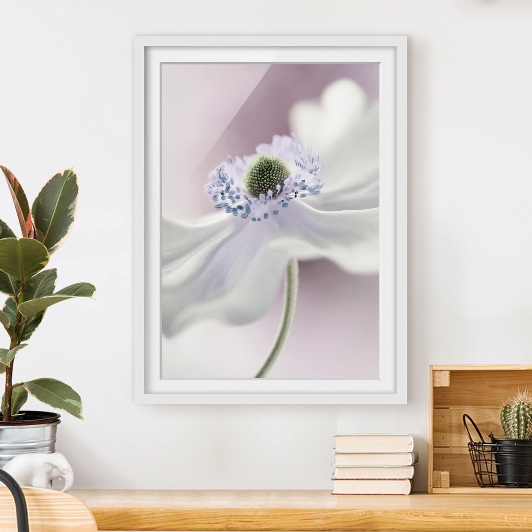 Gerahmter Fotodruck Anemone Breeze