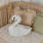 Cushion Swan
