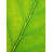 Philippe Monthoux " Autumn Leaf " by Philippe Monthoux-132455093-65800578