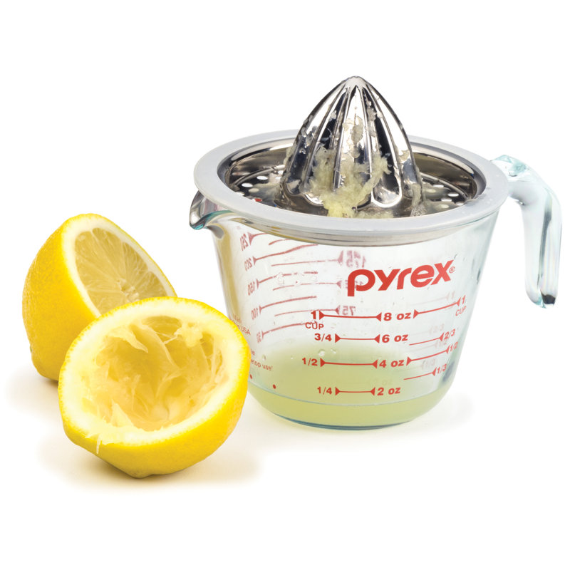 Stainless Steel Citrus Juicer with Silicone Rim, 8-inch