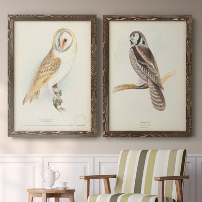 Barn Owl - reproduction de cadre photo sur toile 2 pièces