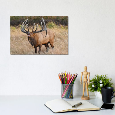 His Majesty by Brian Wolf - Wrapped Canvas Print