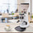 Lomana Stainless Steel Electric Conical Burr Coffee Grinder