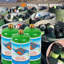 Bouteille de propane rechargeable de 1LB de Flame King