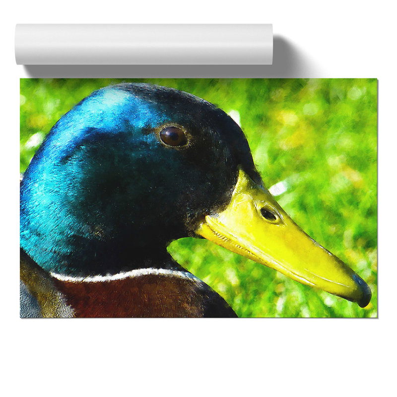 Mallard Duck Painting - Frameless Print, 30cm H x 42cm W x 0.1cm D