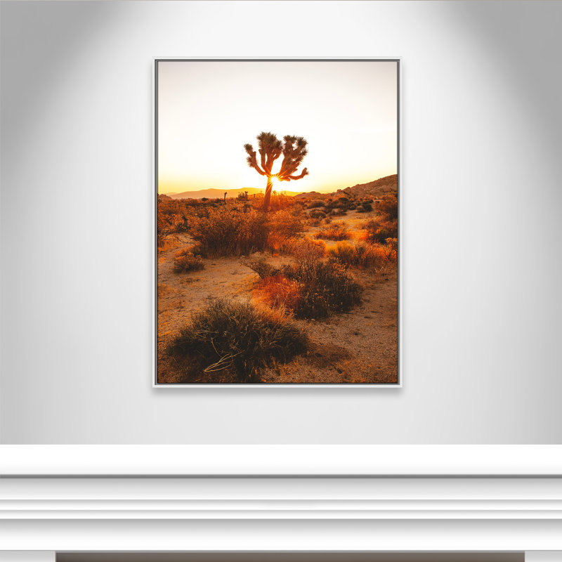 «Desert Dawn» par Joshua Earle - reproduction imprimée, H 41,5 po x l 31,5 po x P 2 po, Cadre flottant blanc, Pas de tapis