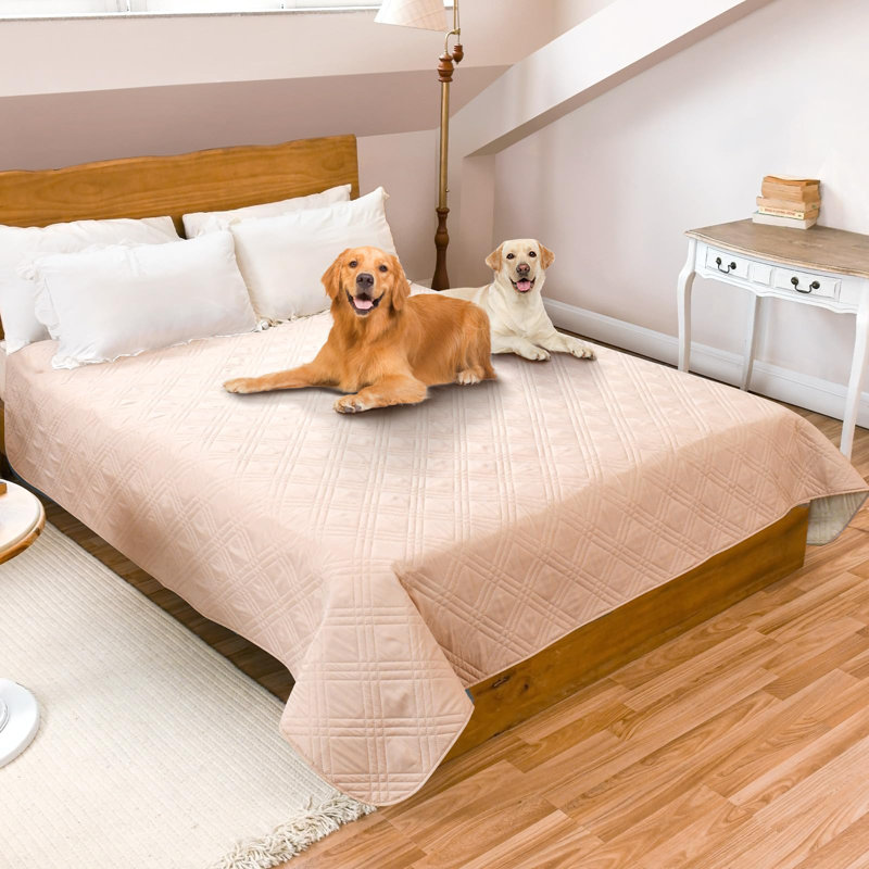 Pet Blanket, Beige