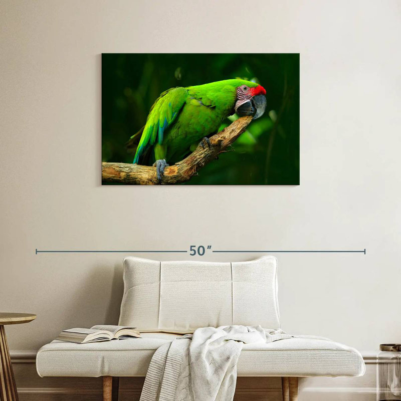 Military Macaw, 24" H x 36" W