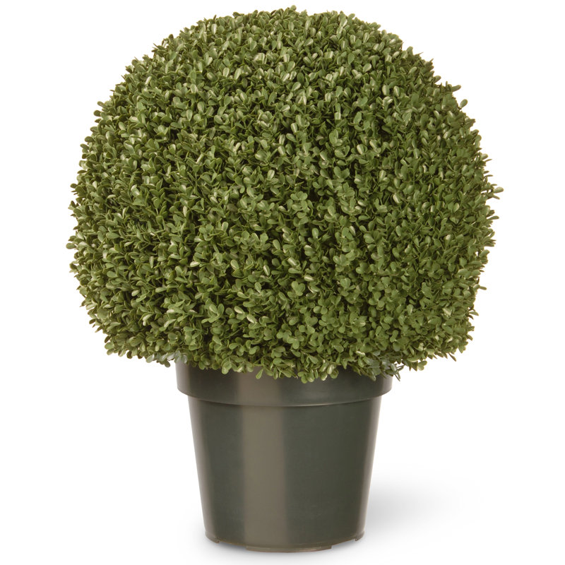 Mini boule de buis artificielle 22 po