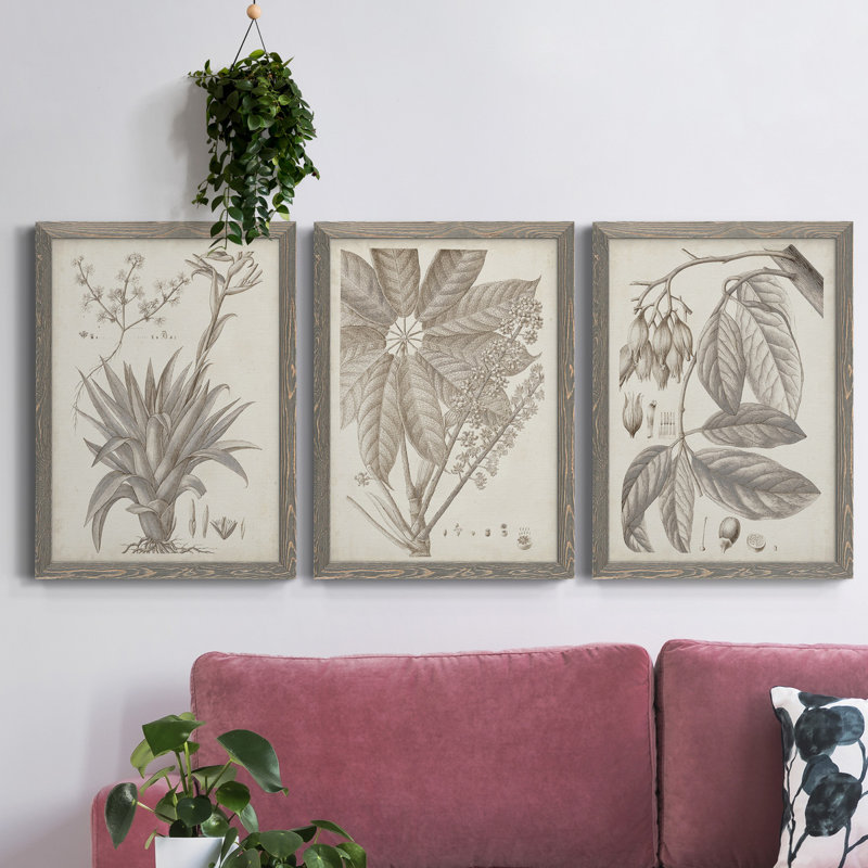 «Sepia Exotic Plants IV», ensemble de 3 peintures sur toile encadrées, Gris, H 43,5 po x l 31,5 po x P 1 po