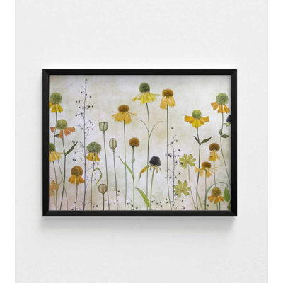 Wild Meadow Blooms - reproduction d'art botanique douce