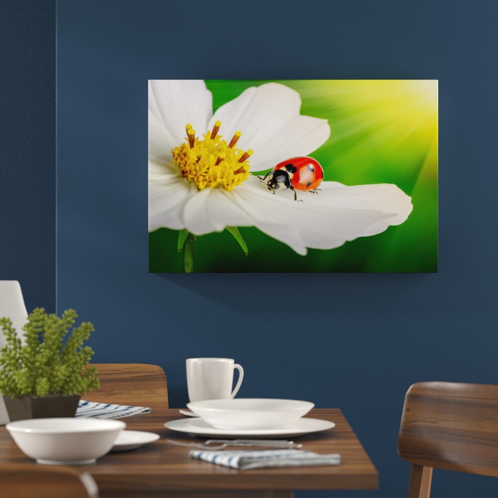 Marienkäfer auf einer weißen Blume Wandkunst auf Leinwand