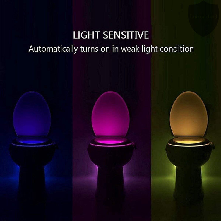 https://assets.wfcdn.com/im/07525134/resize-h755-w755%5Ecompr-r85/2297/229712576/Motion+Sensor+Activated+LED+Toilet+Night+Light.jpg