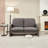 Loveseat Sofa, Small Couch, Upholstered Loveseat Sofa Couch