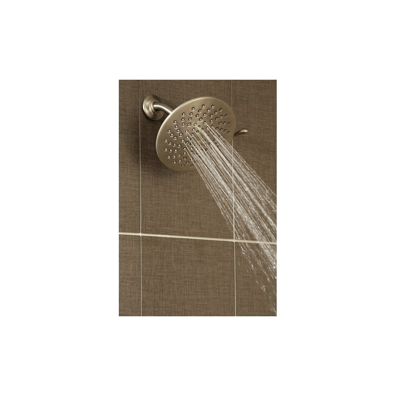Velocity 2.5 GPM Multi Function with Immersion, Brushed Nickel