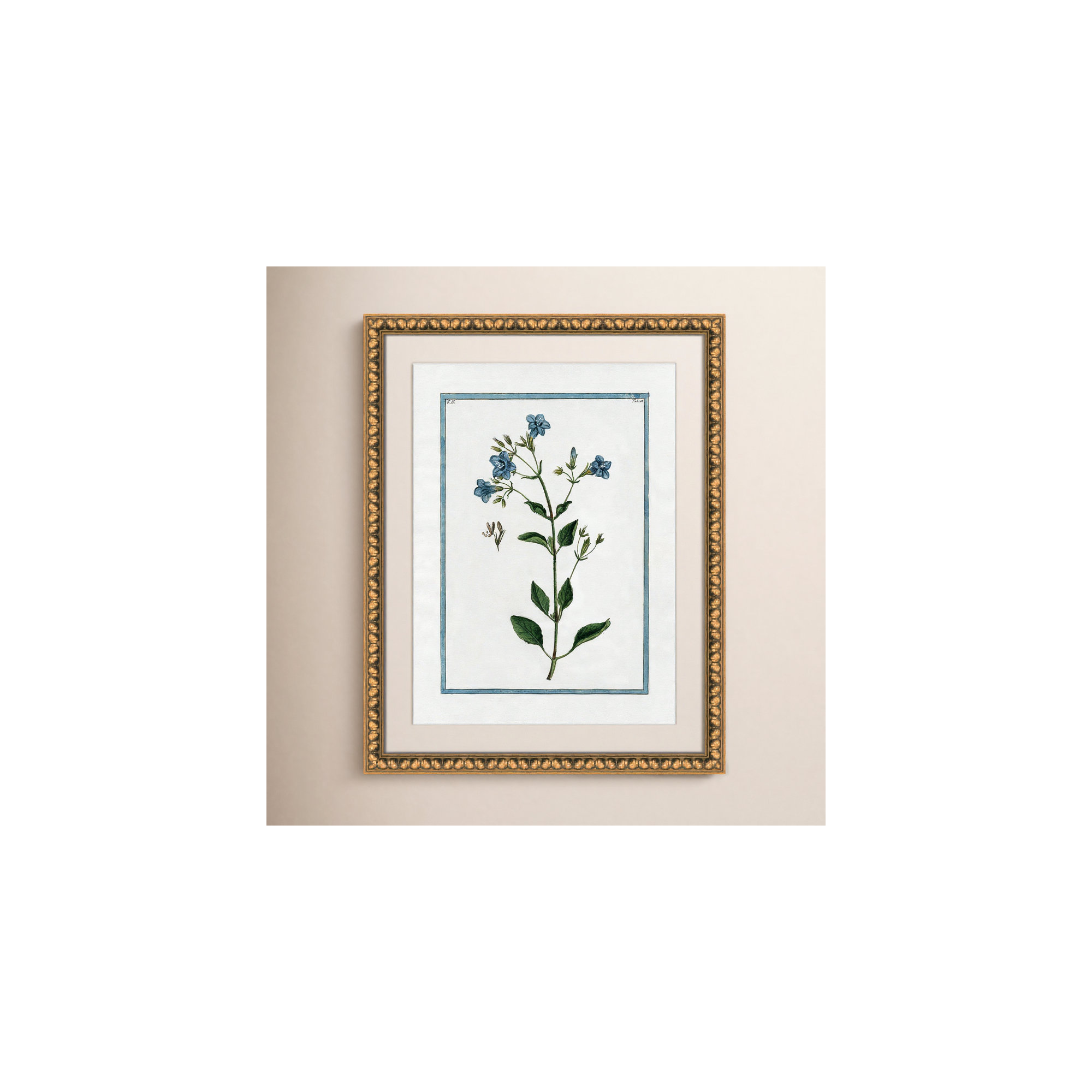 Shabby Elegance Botanical II - Framed Art, 18" W x 24" H, Gold Bead Framed